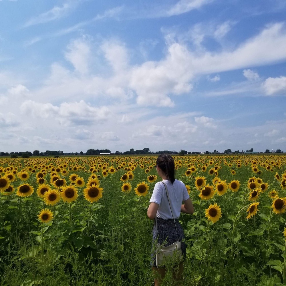 Meet your Posher, Julia